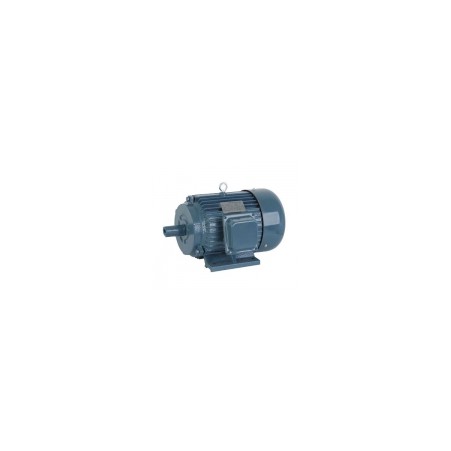 TRIFAZIS ASINCHRONINIS ELEKTROS VARIKLIS 3.0KW (Y-100L2-4)