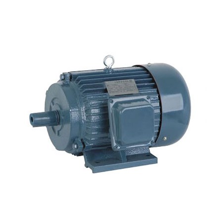 TRIFAZIS ASINCHRONINIS ELEKTROS VARIKLIS 1.5KW (Y-100L-6)